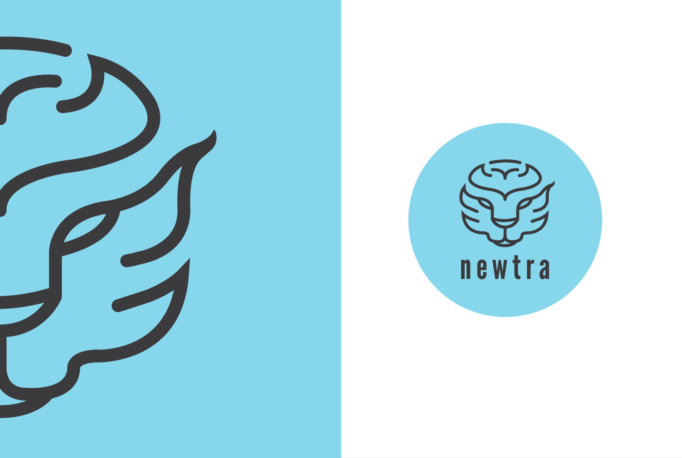 Newtra Protein_Logo Design-1