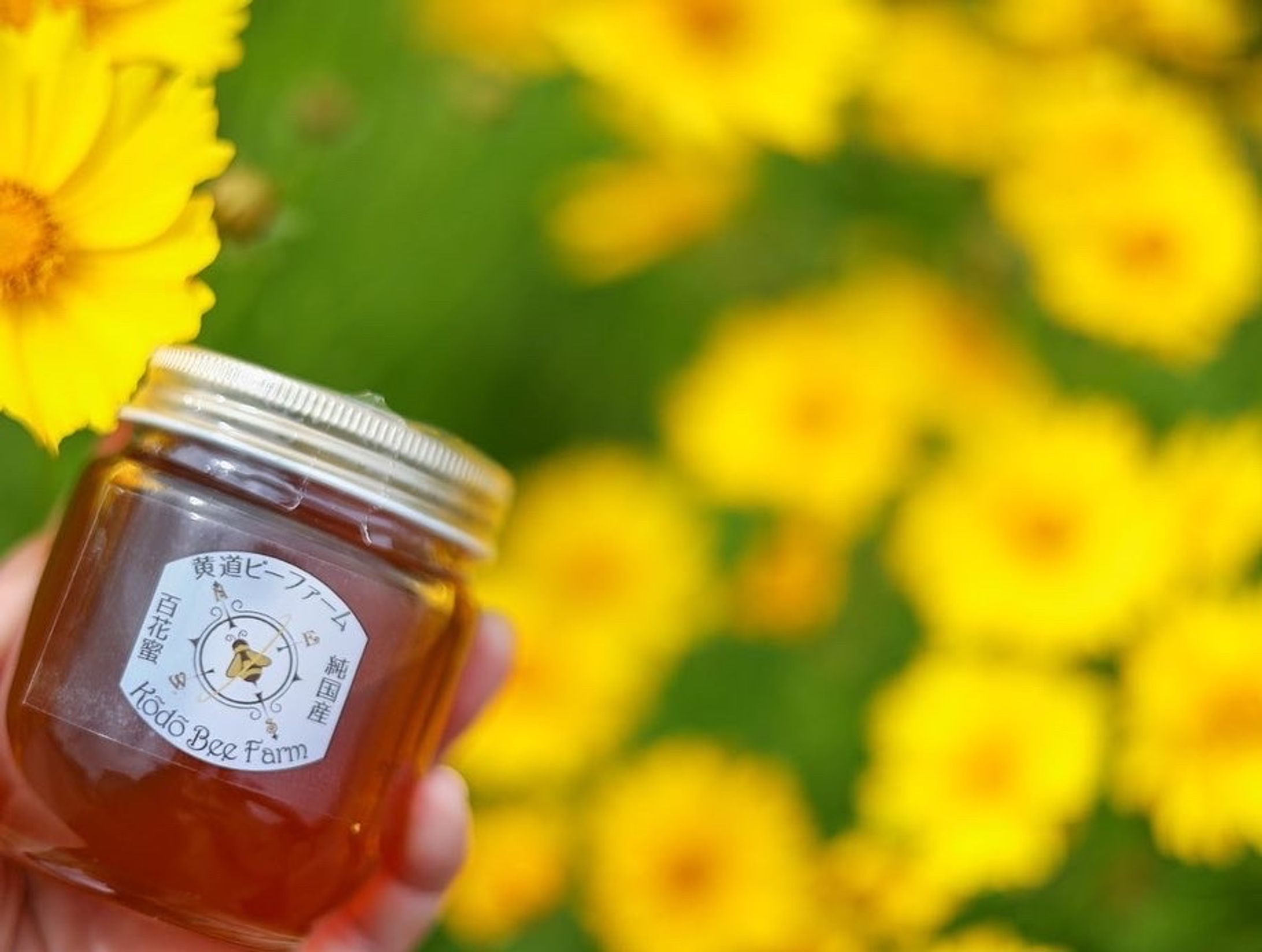 621C1BB4 679F 4946 82DF FC494F1113B8-1