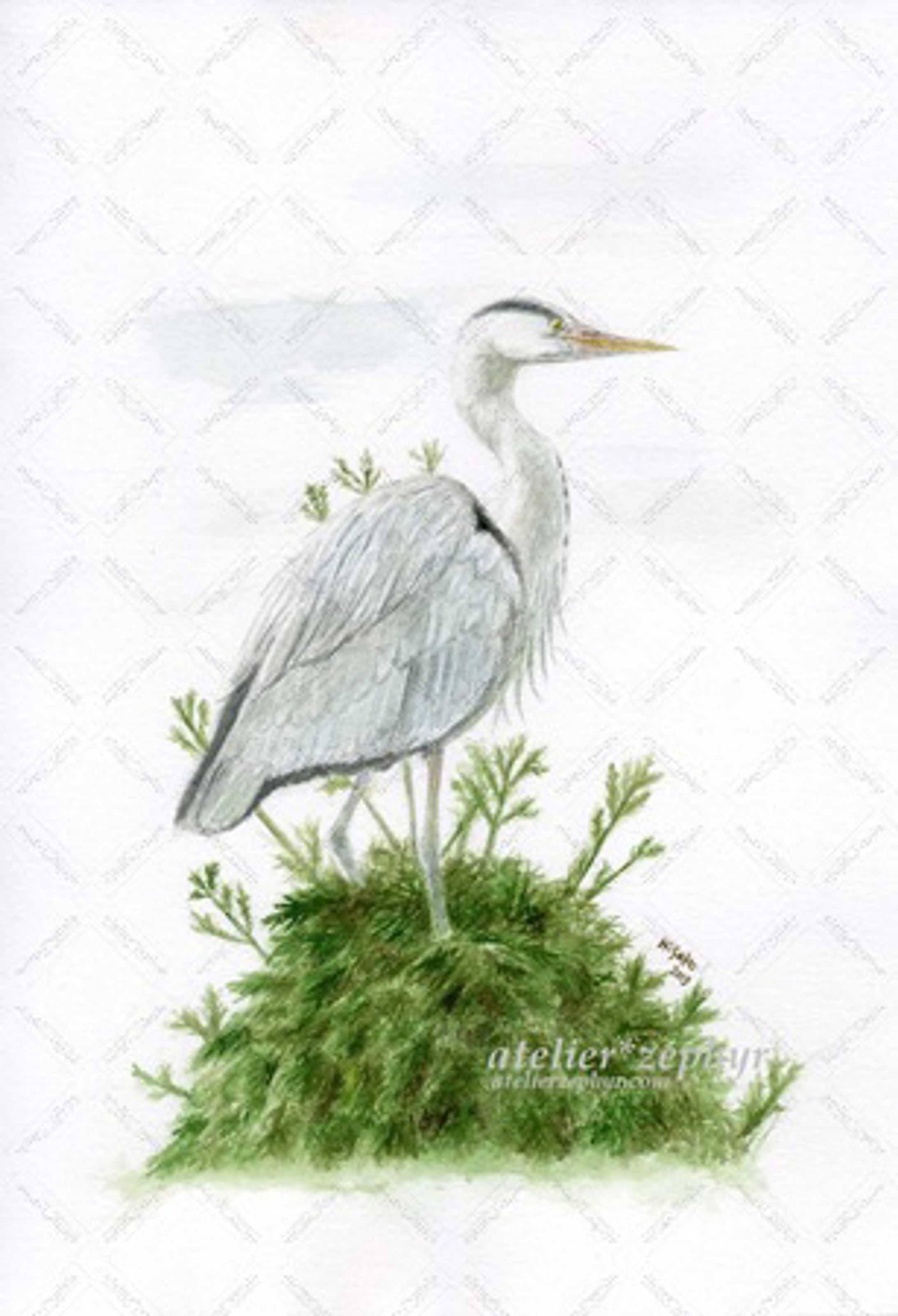 自然観察から生まれた作品-1