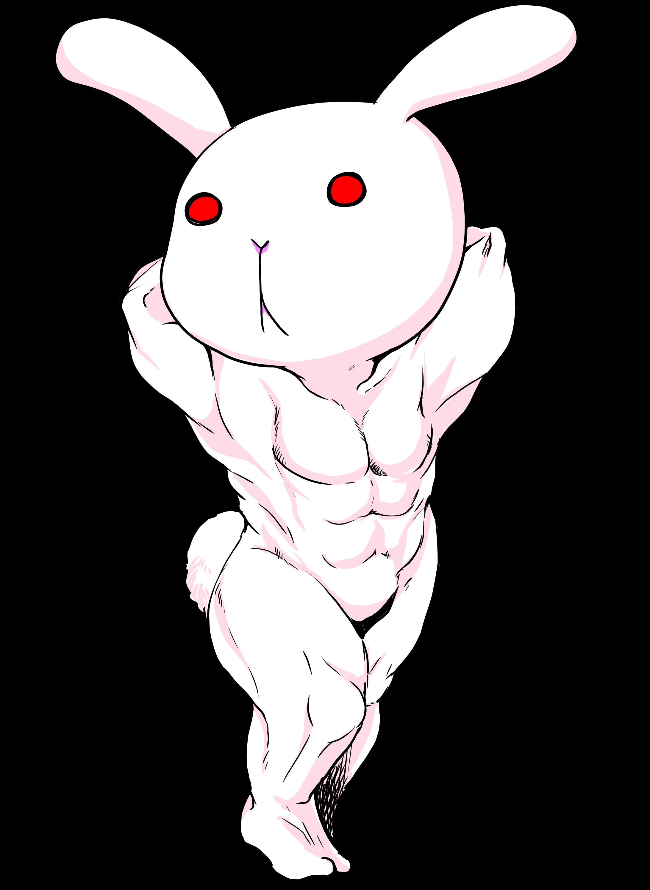 兎詐欺シリーズ-1