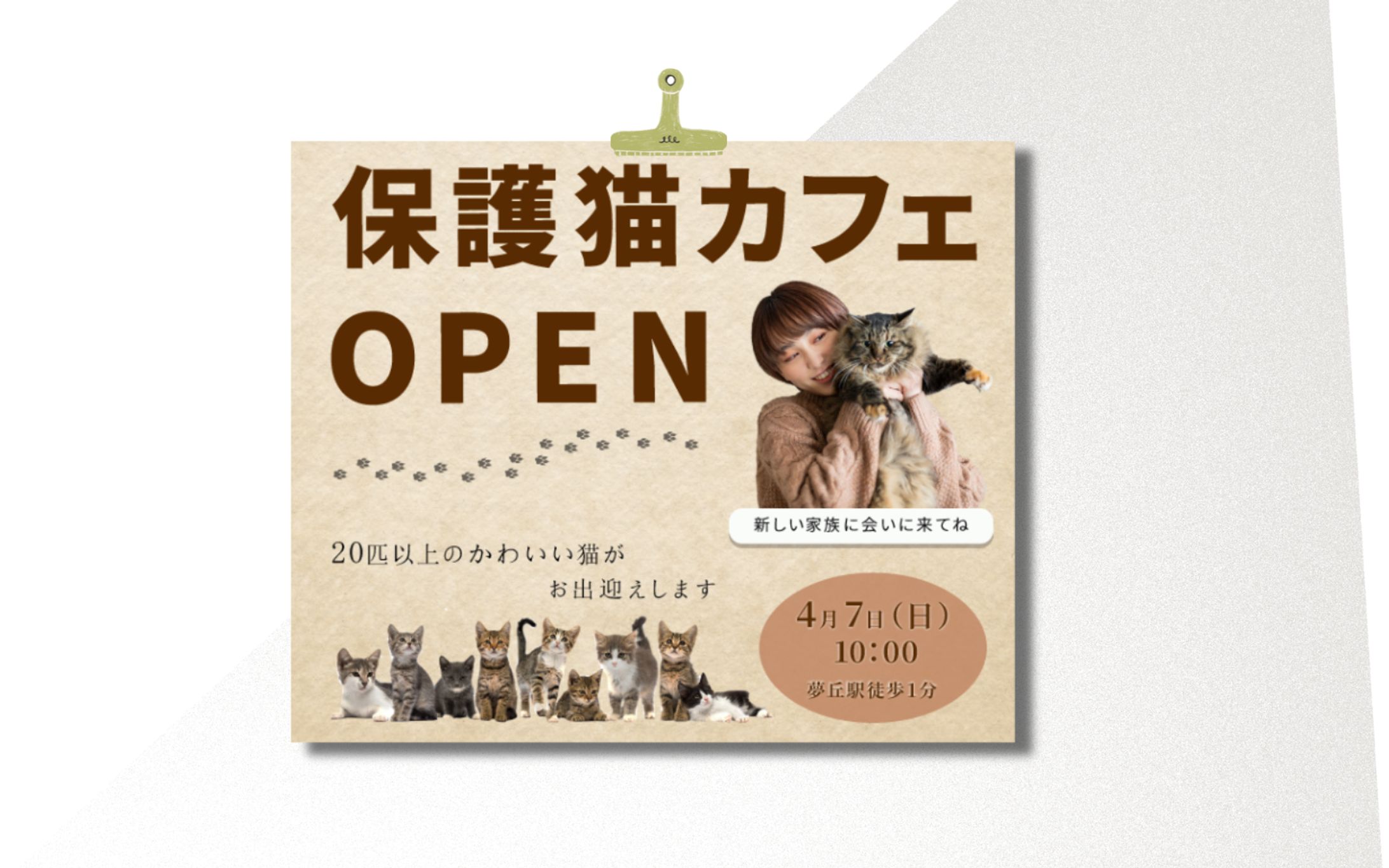 保護猫カフェ架空バナー-1