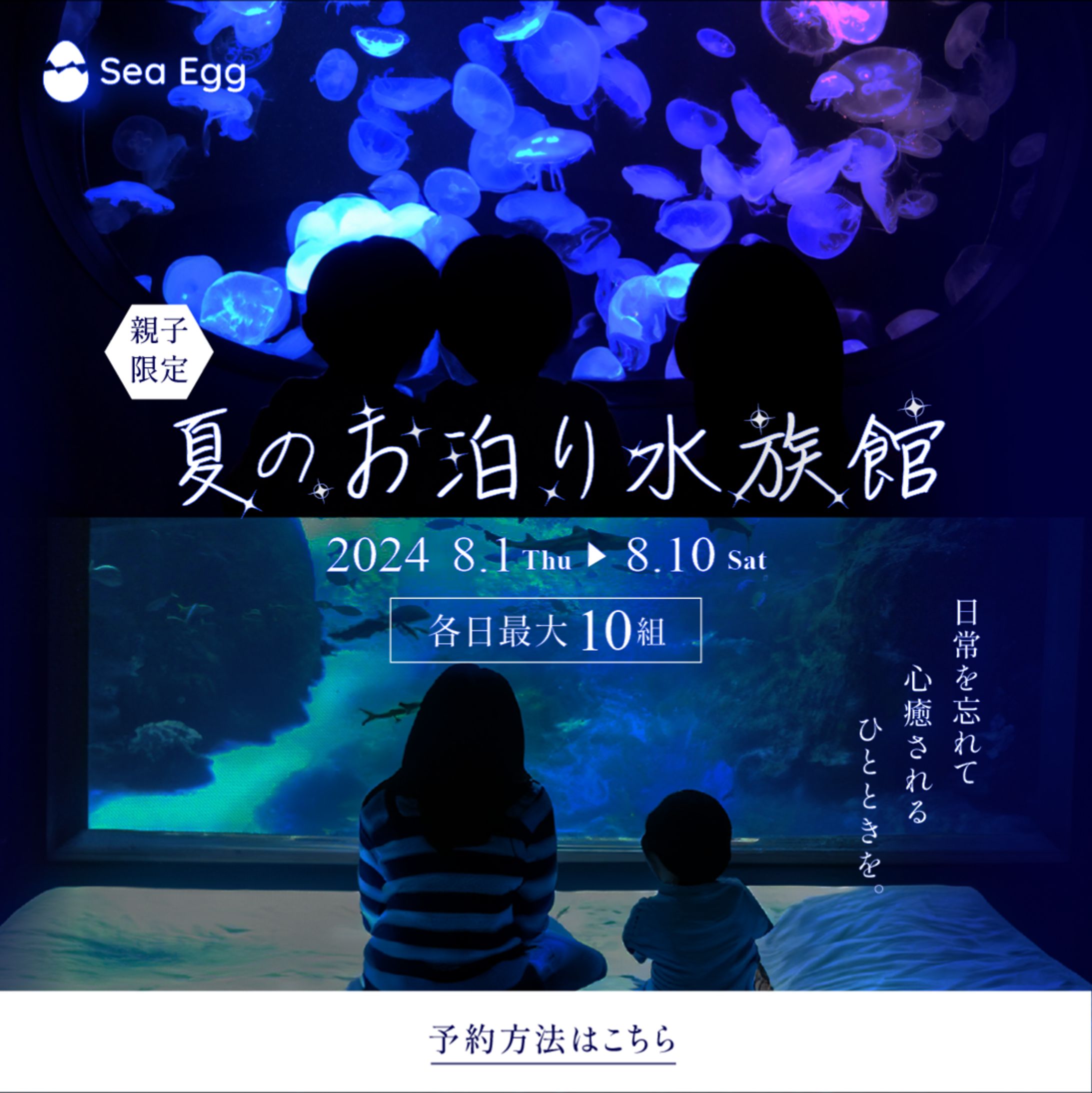 水族館のSNS広告用バナー-1