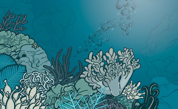 グラフィックデザイン、イラスト、医療