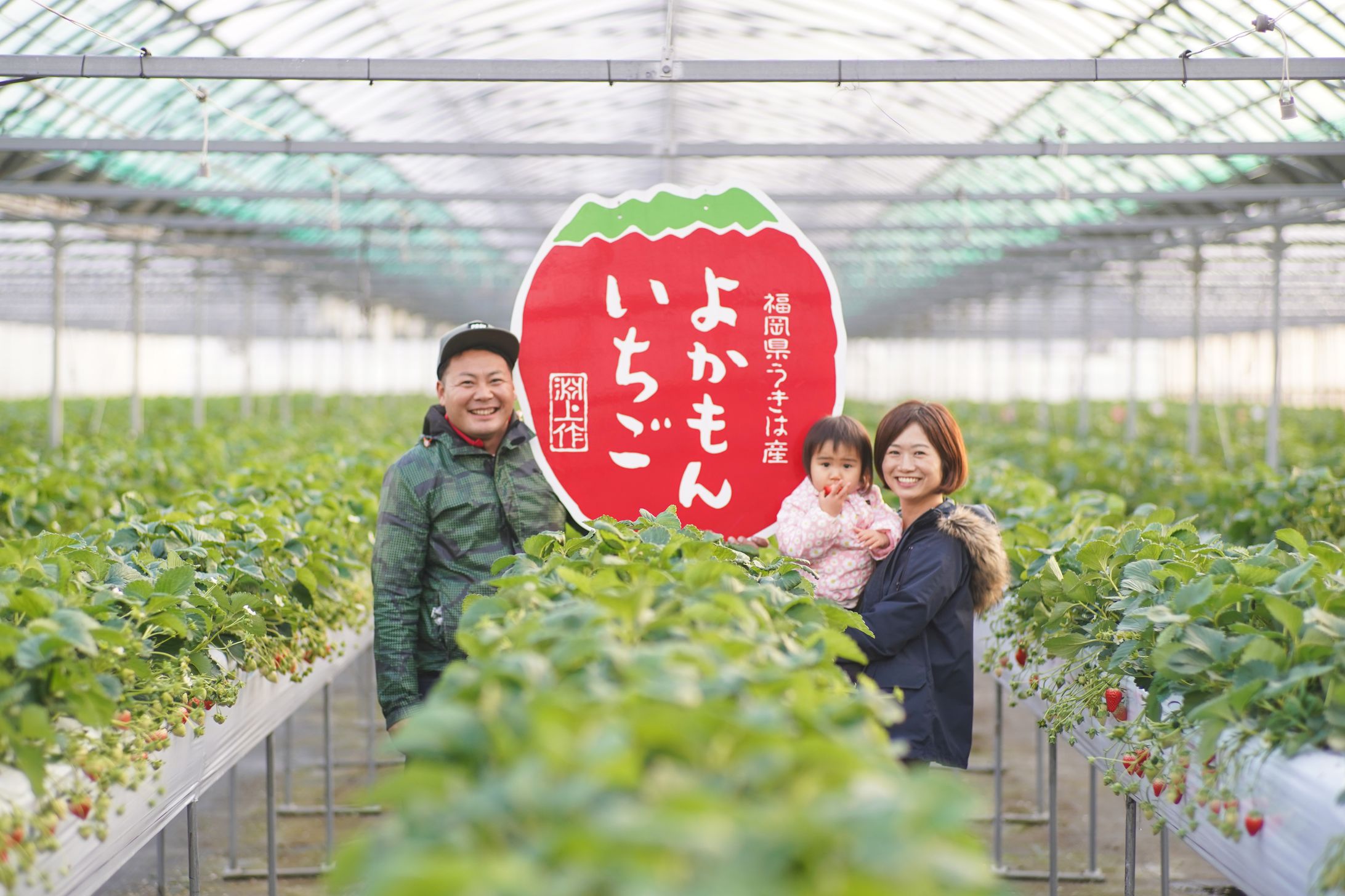 農業法人 よかもんいちご様 農園・商品撮影-1
