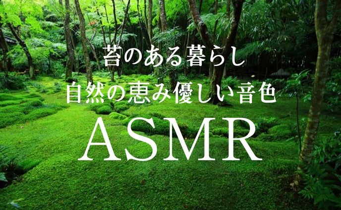 【サムネイル】苔のある暮らし