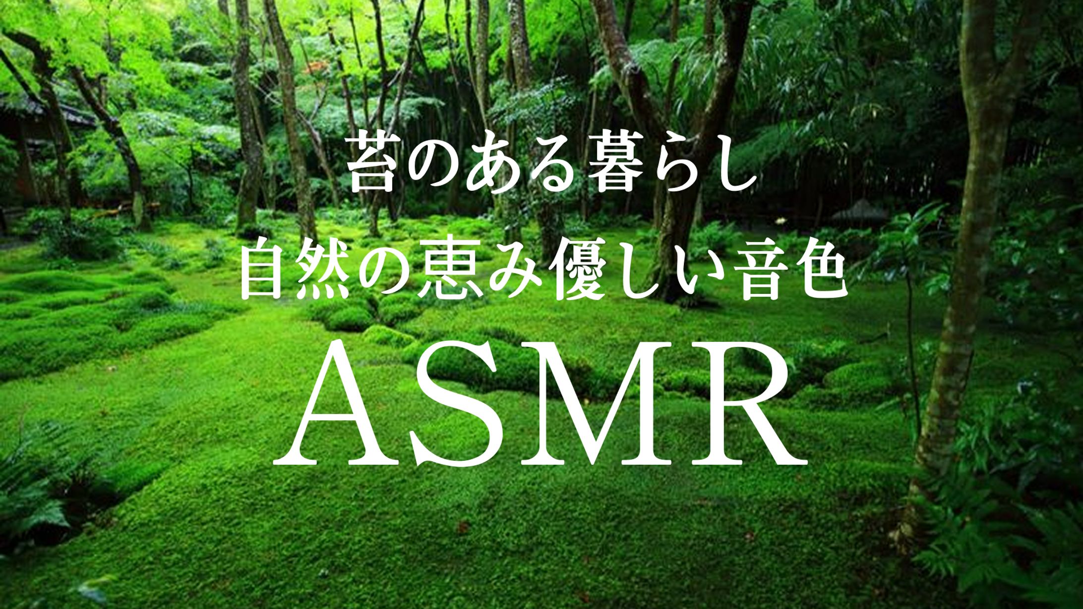 【サムネイル】苔のある暮らし-1