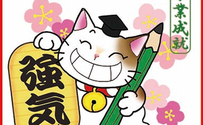 強気ねこ