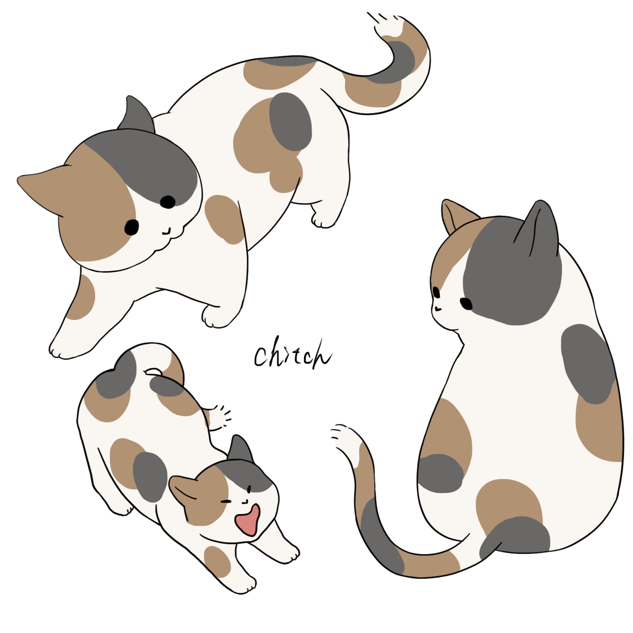 ふとねこ-1