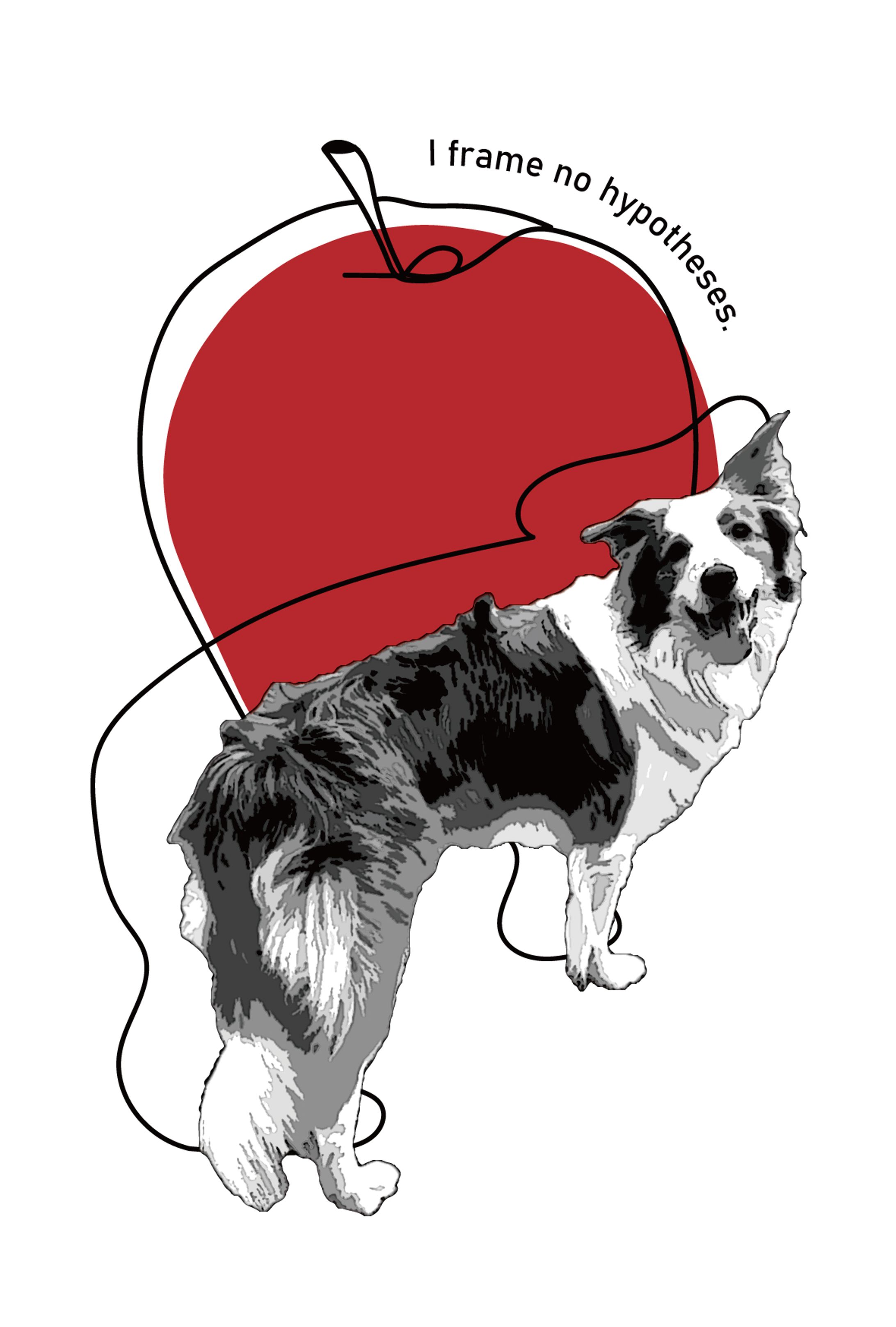 newton art apple-1