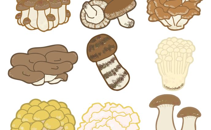 おえかき、オリジナル