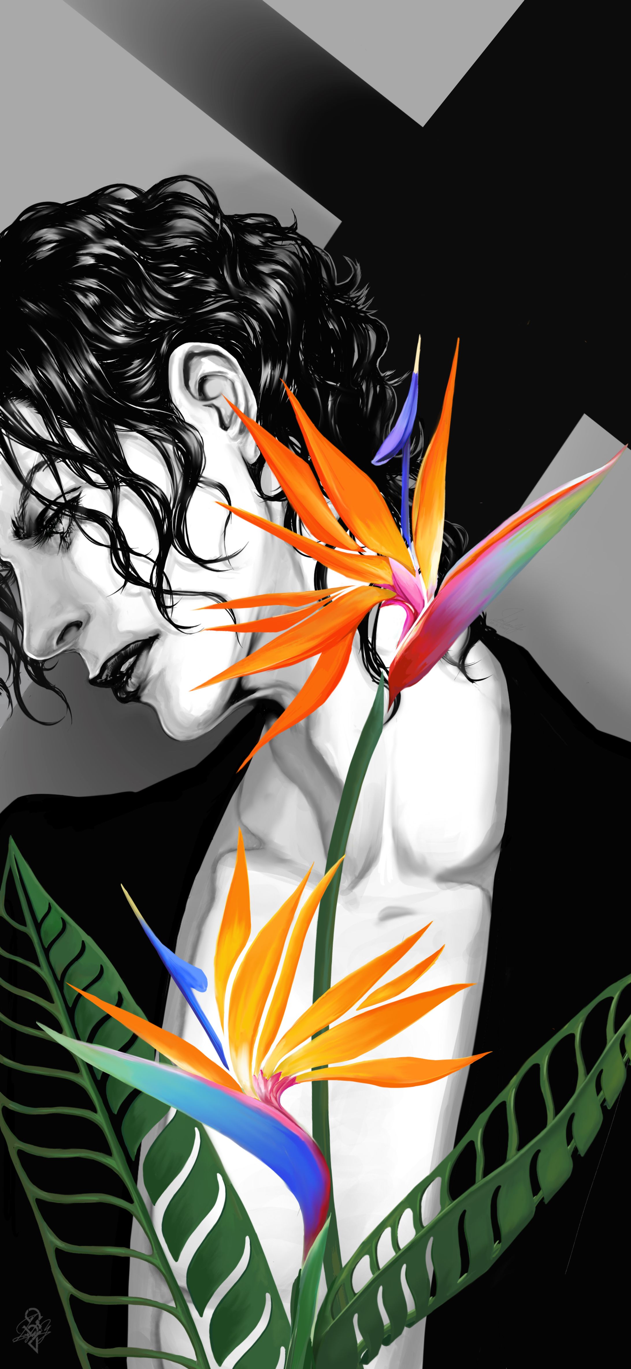 Splendor-1