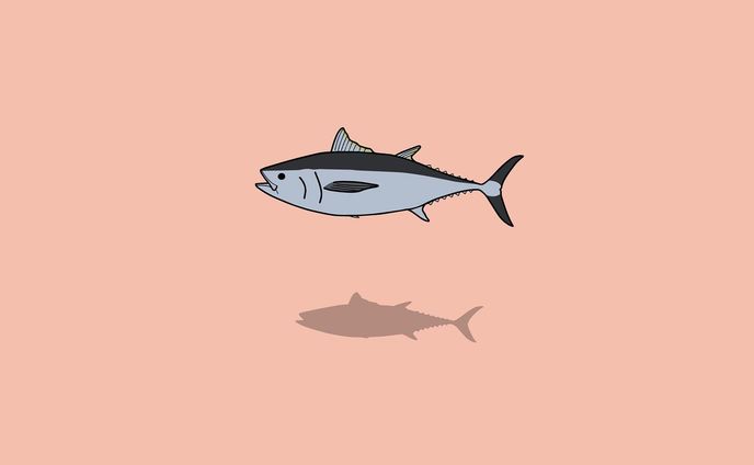 グラフィックデザイナー、イラストレーター、ヒト