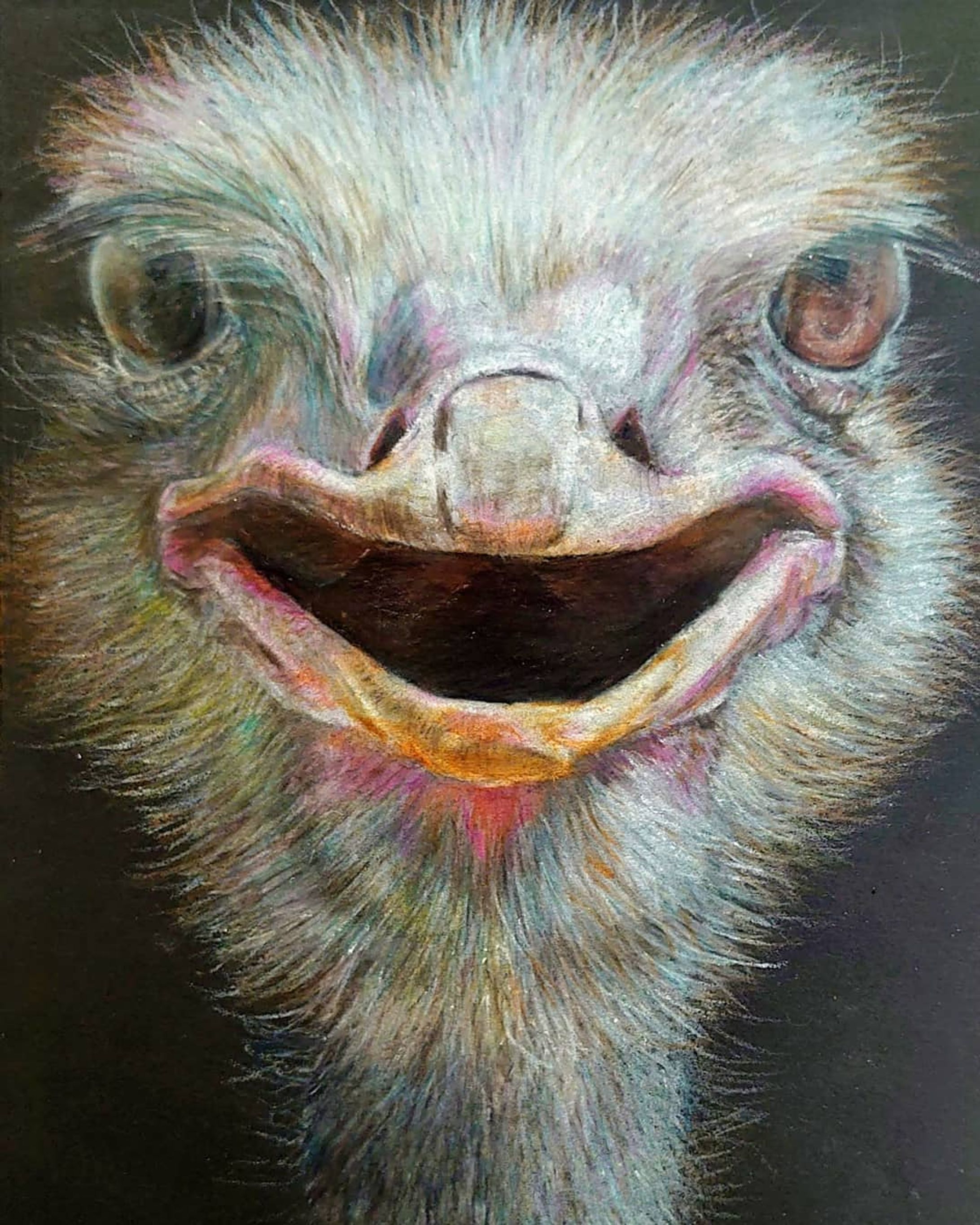 Artstickerで販売予定だよ！

ダチョウ （182×128mm）／紙・色鉛筆

#ダチョウ #鳥 #Ostrich

#animalillustration #芸術 #アート #animal #動物 #かわいい #色鉛筆 #colorpencil #picture #cute #animalartist #animaldrawing #realist #イラスト #絵 #illust #illustration #illustrator  #draw #drawing  #art #artwork #artist #sketch  #works #Artsticker #外出自粛-1
