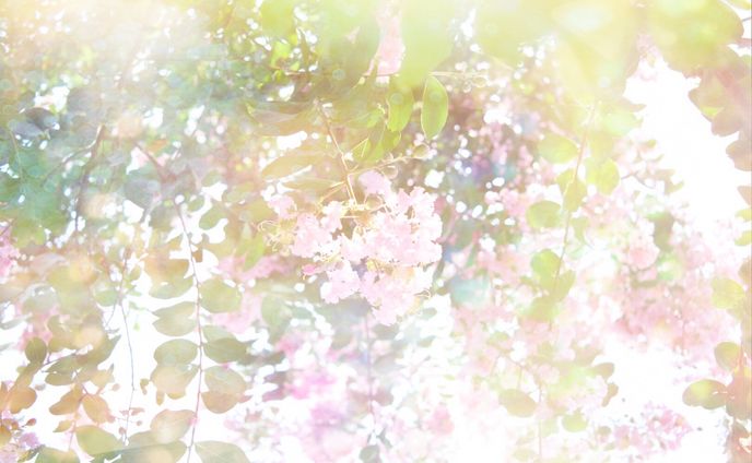 art、学習