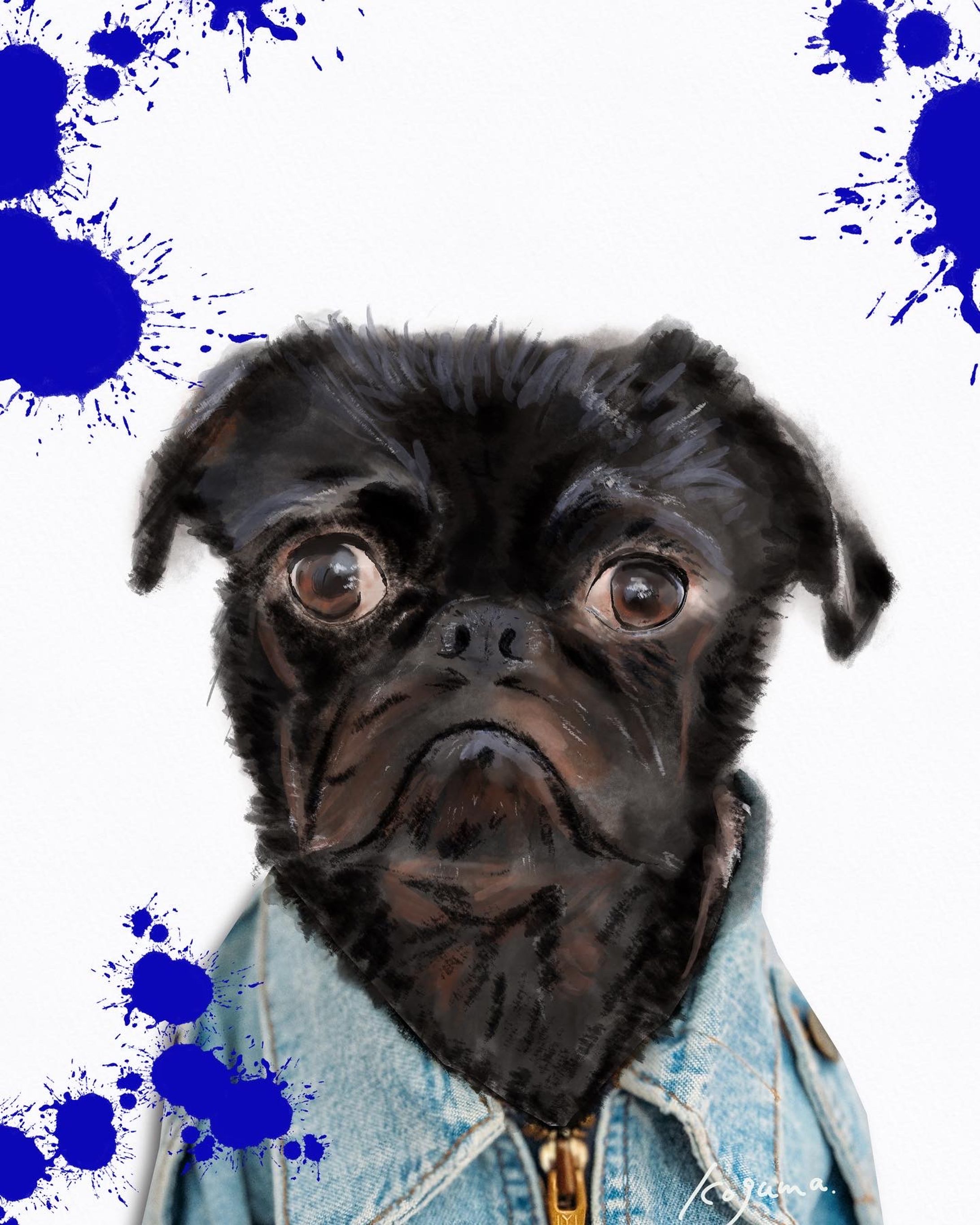 pug-1