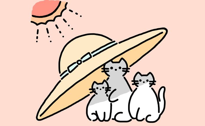 涼しげカラーのねこ
