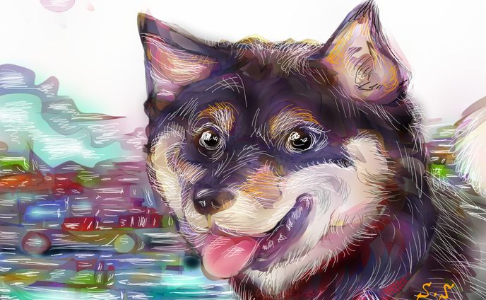 inu4