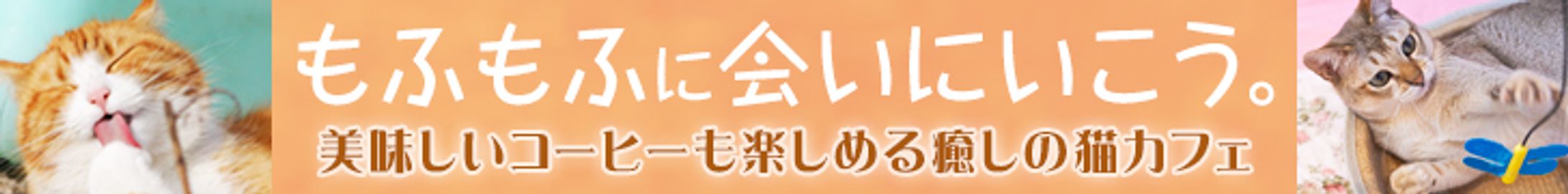 猫カフェバナーリサイズ-1