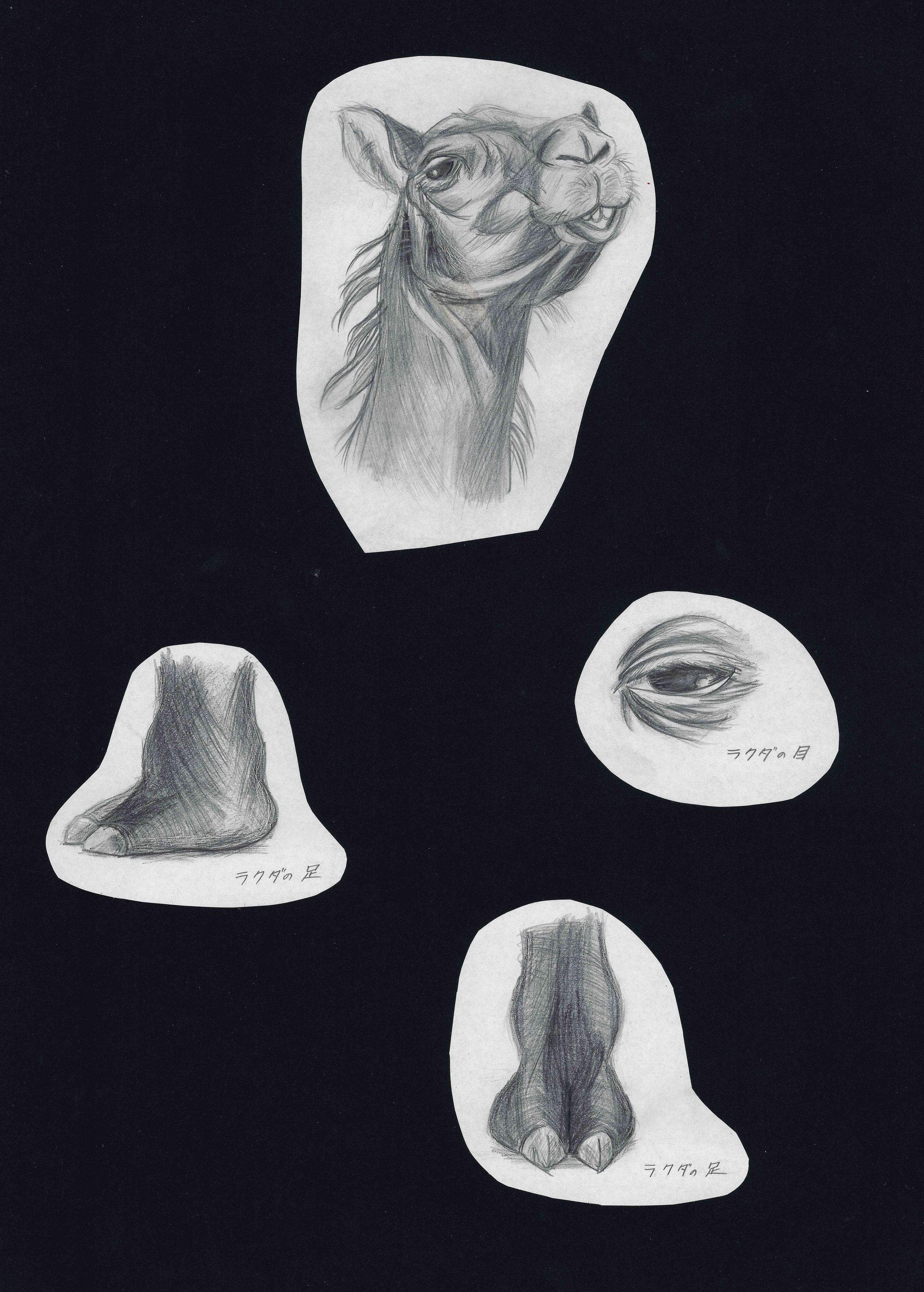 動物園でのスケッチ -1