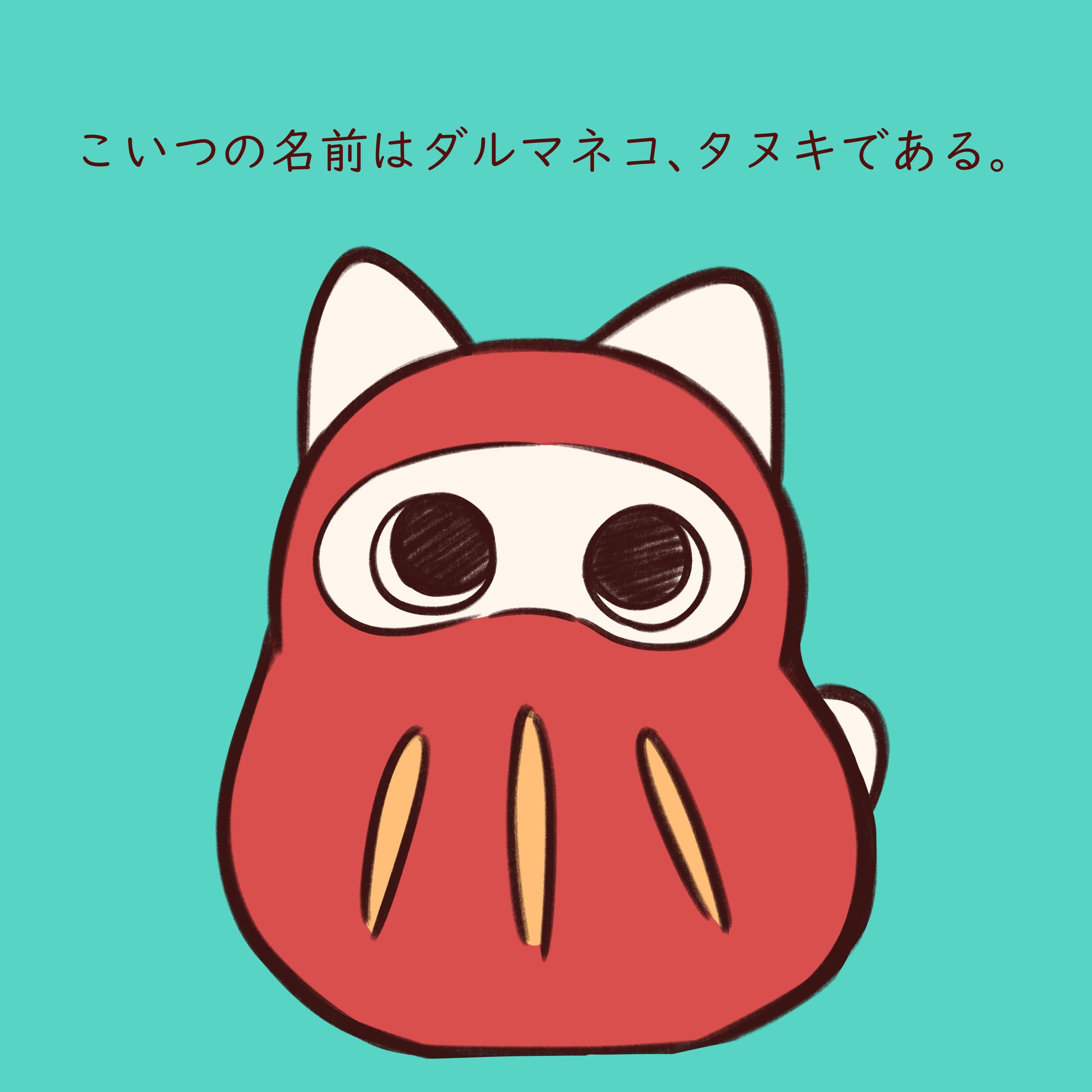 ダルマのようなネコのようなタヌキ、ダルマネコ-1
