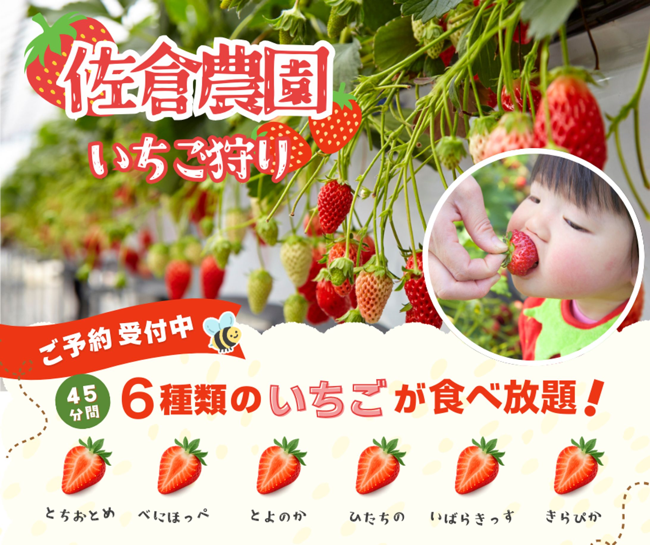 農園いちご狩り予約サイト広告バナー-1