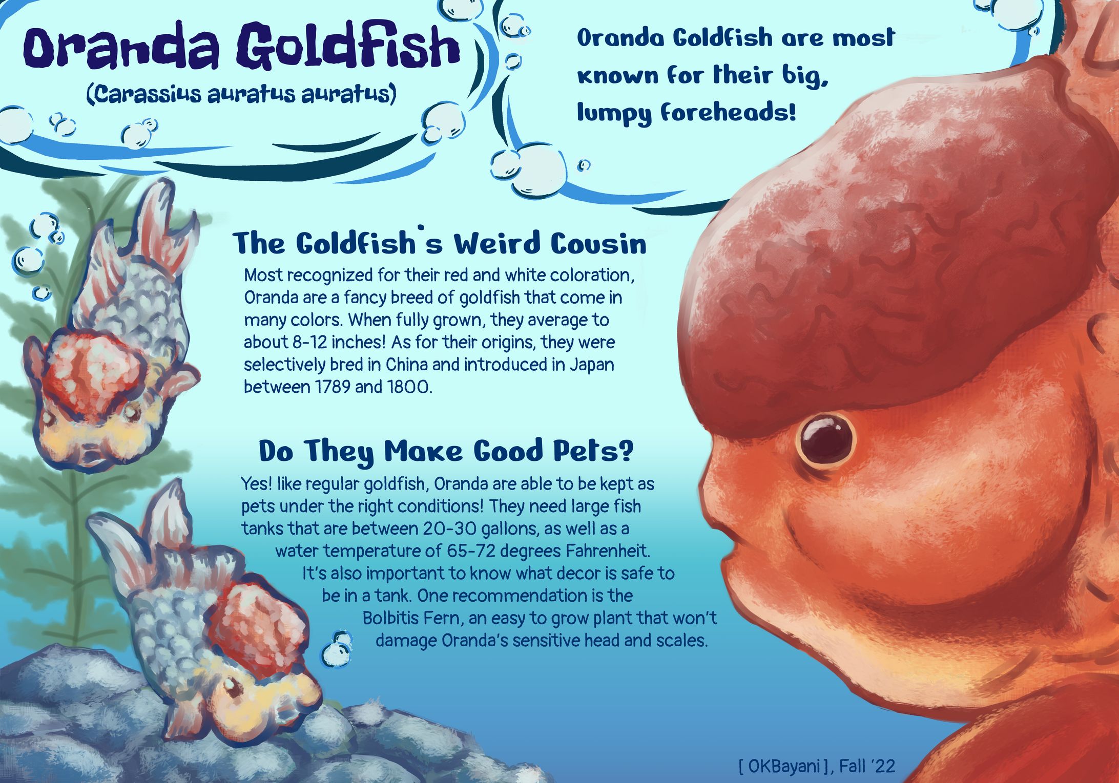 Oranda Goldfish Park Sign-1