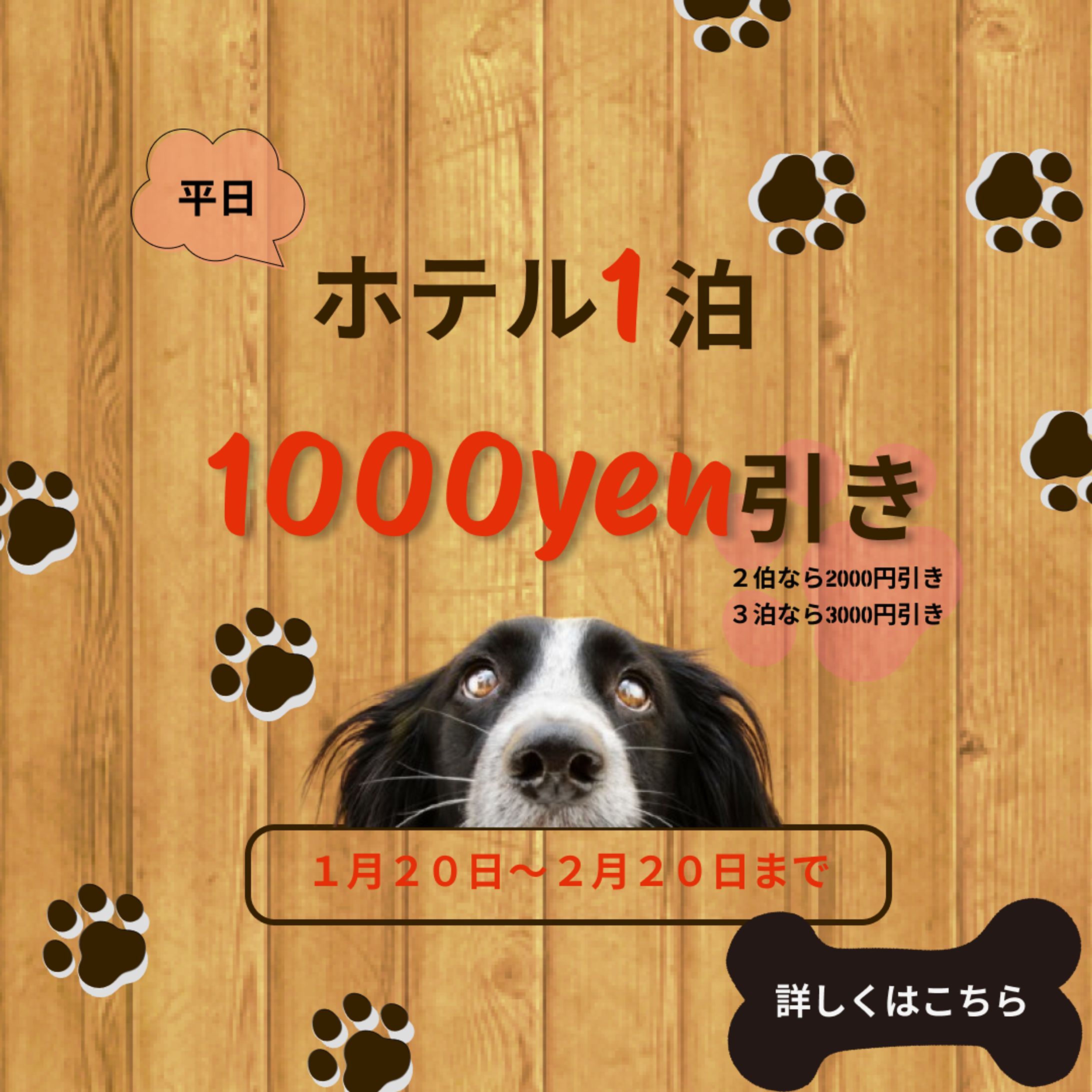 ペットホテル　バナー-1