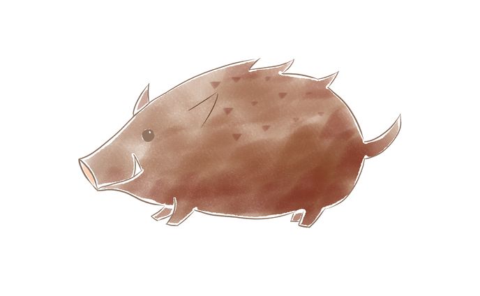 イラスト イノシシ