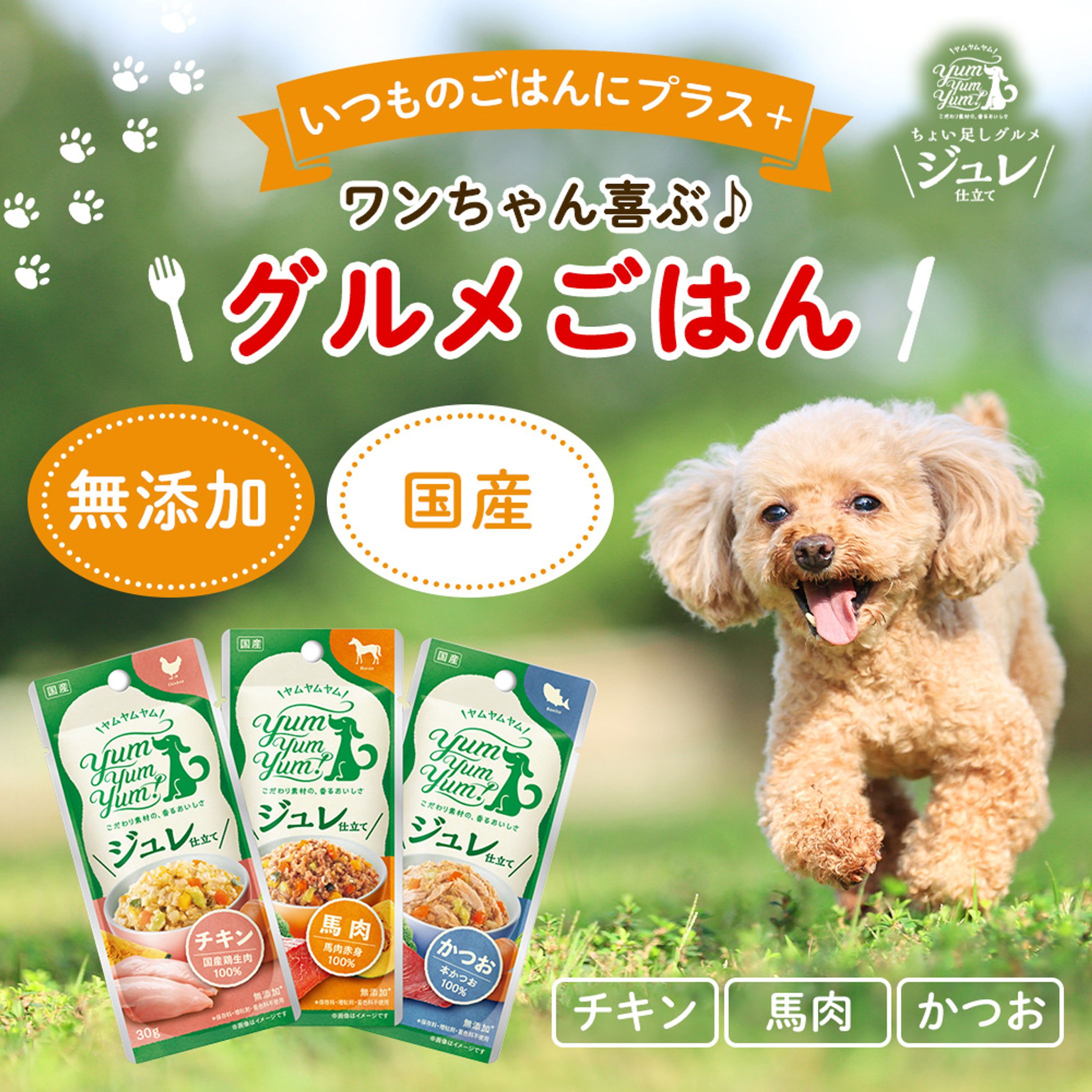 ドッグフード_EC商品画像-1