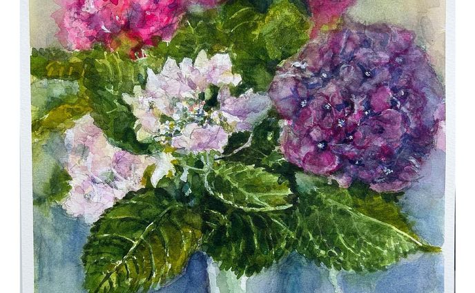 紫陽花
透明水彩　アヴァロン　F4

#透明水彩 #透明水彩画 #静物画 #紫陽花 #あじさい #アジサイ #花の絵 #ホルベイン #watercolor #watercolorpainting #painting #art #flowers #stilllife #hydrangea #flowerpainting