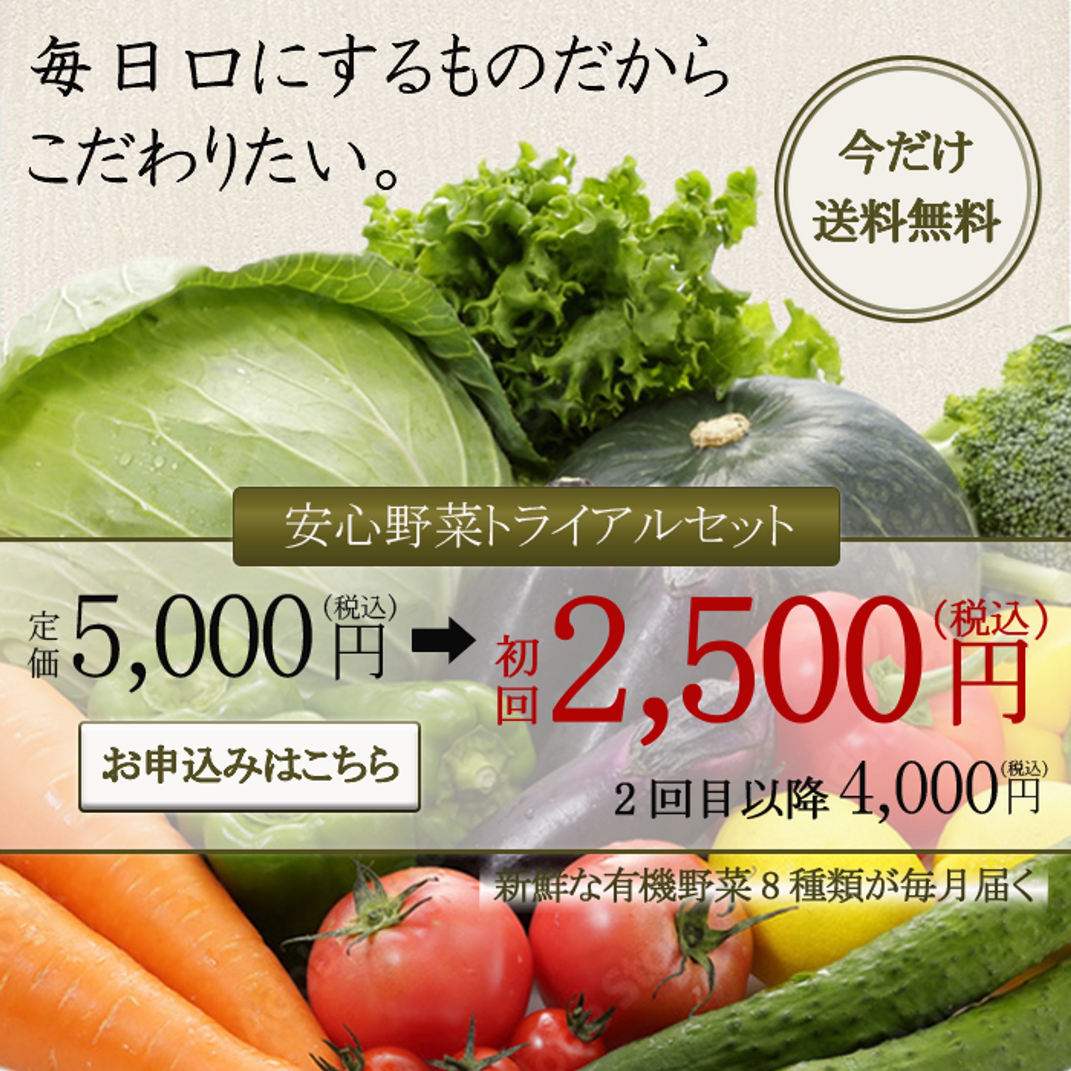 食材宅配サービスのバナー-1