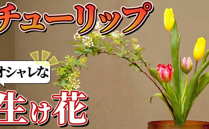文字、画像編集