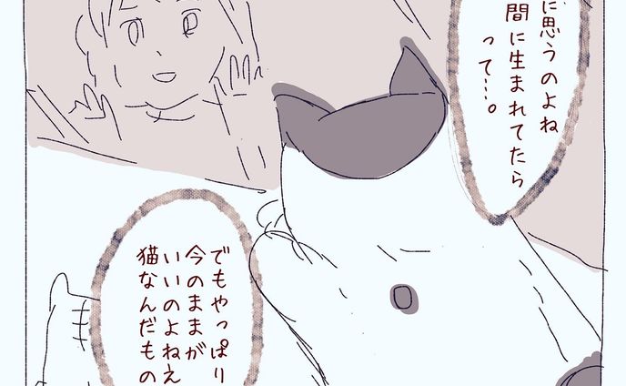 ねこ漫画