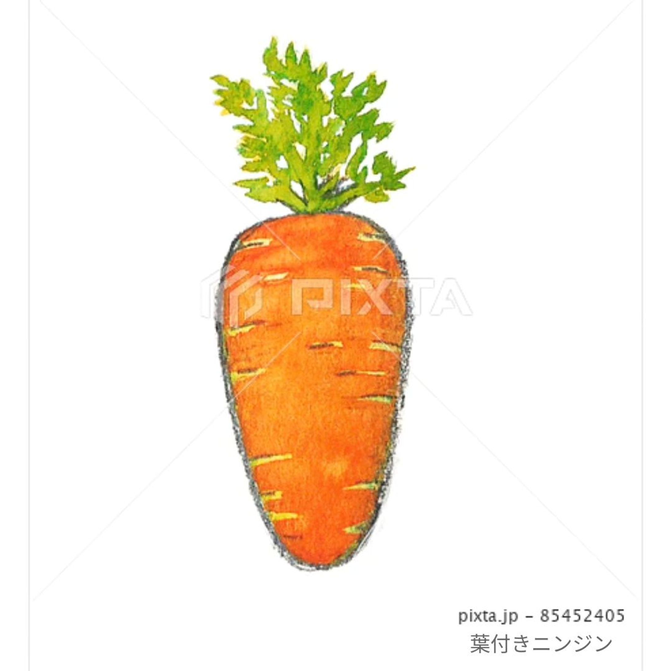 ⁡■【お野菜】
＼🥕人参です🥕／
⁡⁡
⁡⁡
⁡素材イラストとしてPIXTAさまにて販売中〜⁡
⁡よろしくお願いします⁡⁡🙇🏻‍♀️‪‪´-
⁡⁡⁡⁡
⁡
https://pixta.jp/illustration/85452405
⁡⁡⁡
⁡
⁡
⁡#素材イラスト #pixta #ニンジン #にんじん #人参 #carrot #watercolors #水彩色鉛筆 #illustration #イラスト #クライアントさんと繋がりたい #挿絵 #出版社さんと繋がりたい  #食べ物イラスト #野菜イラスト #雑誌のお仕事をしたいです #飲食店さんを応援したい #書籍のお仕事をしたい-1