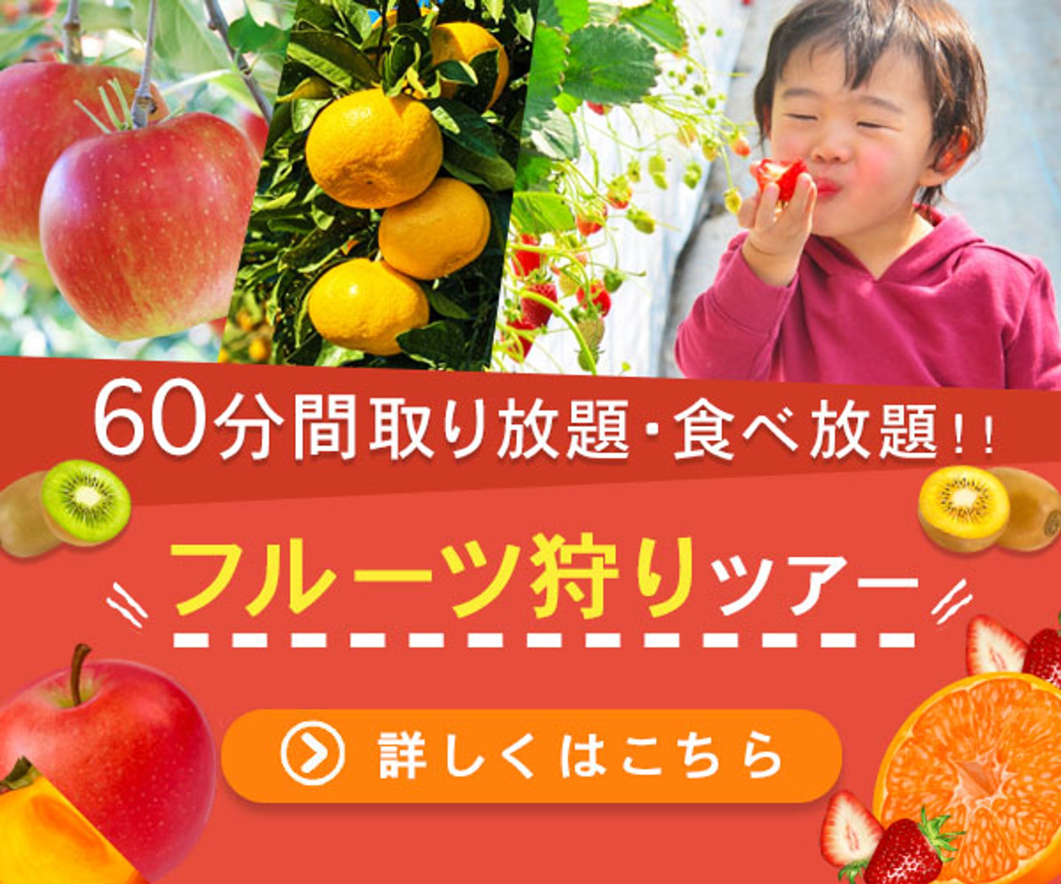 フルーツ狩りバナー-1