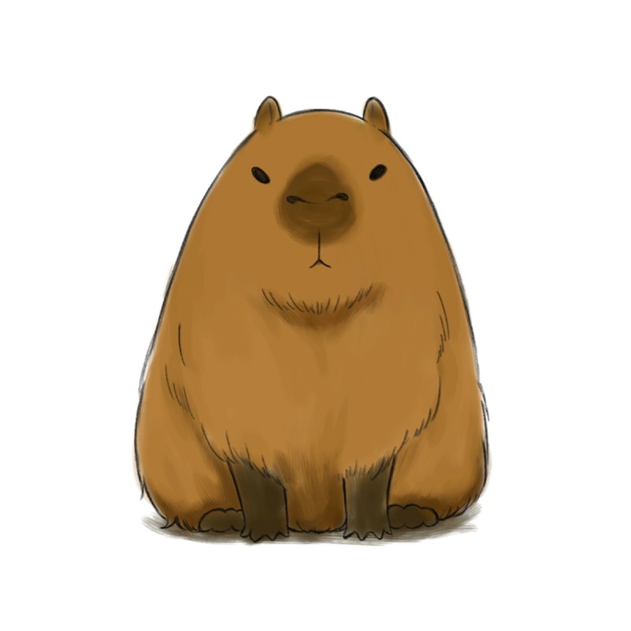 カピバラ-1