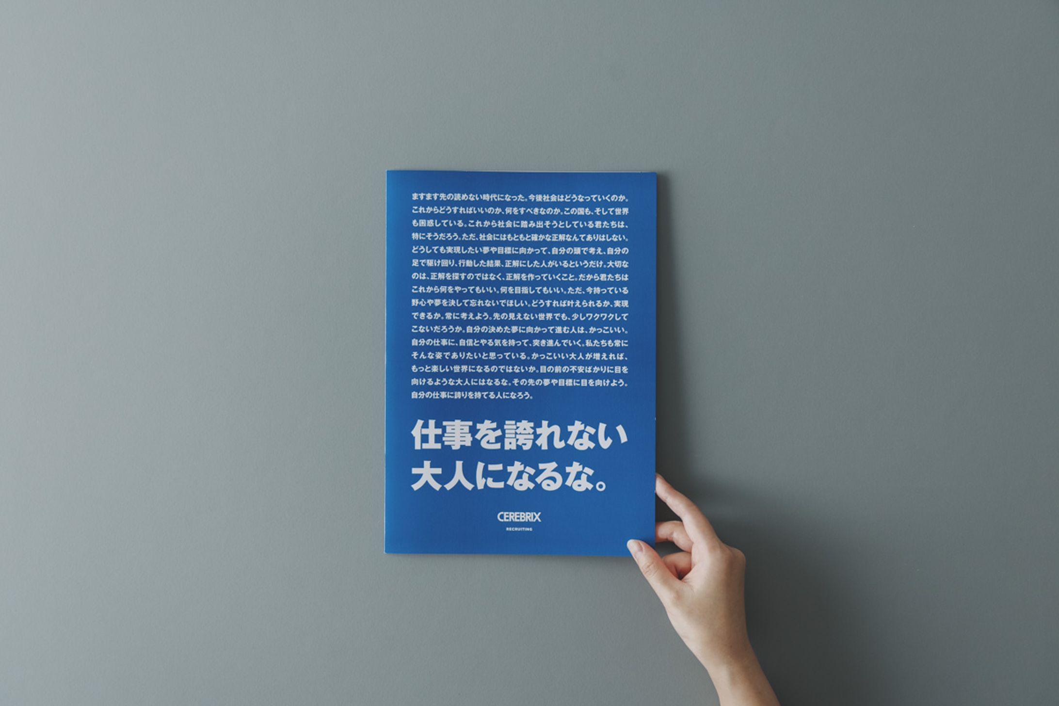 [2021]セレブリックスさま／新卒採用リーフ・LP制作-1