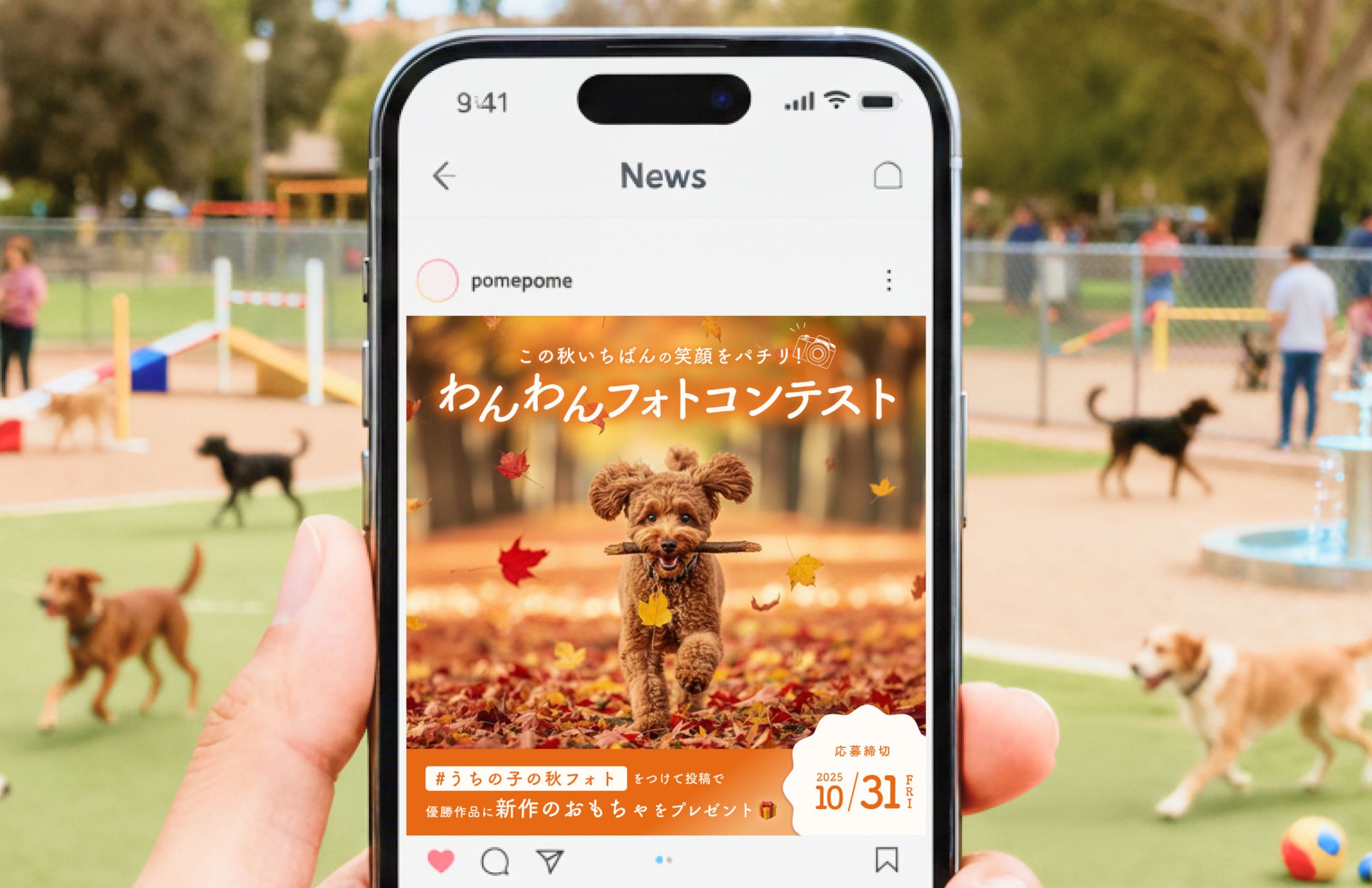 ドッグフォトコンテスト/SNS バナー-1