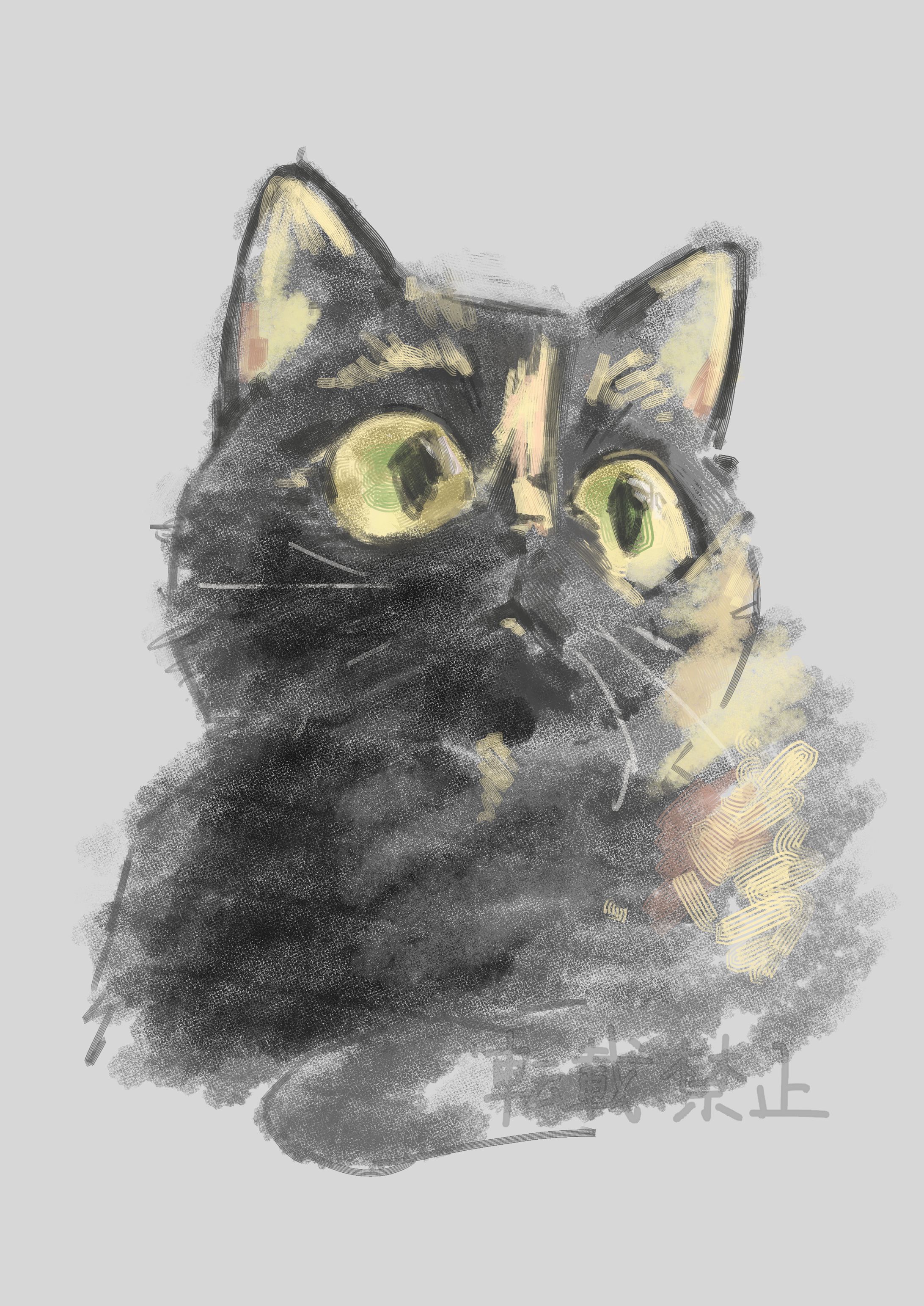 サビ猫 -tortoiseshell cat--1