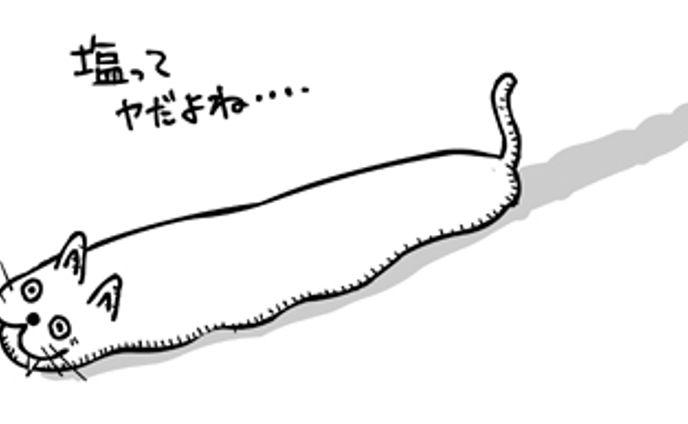 なめねこ