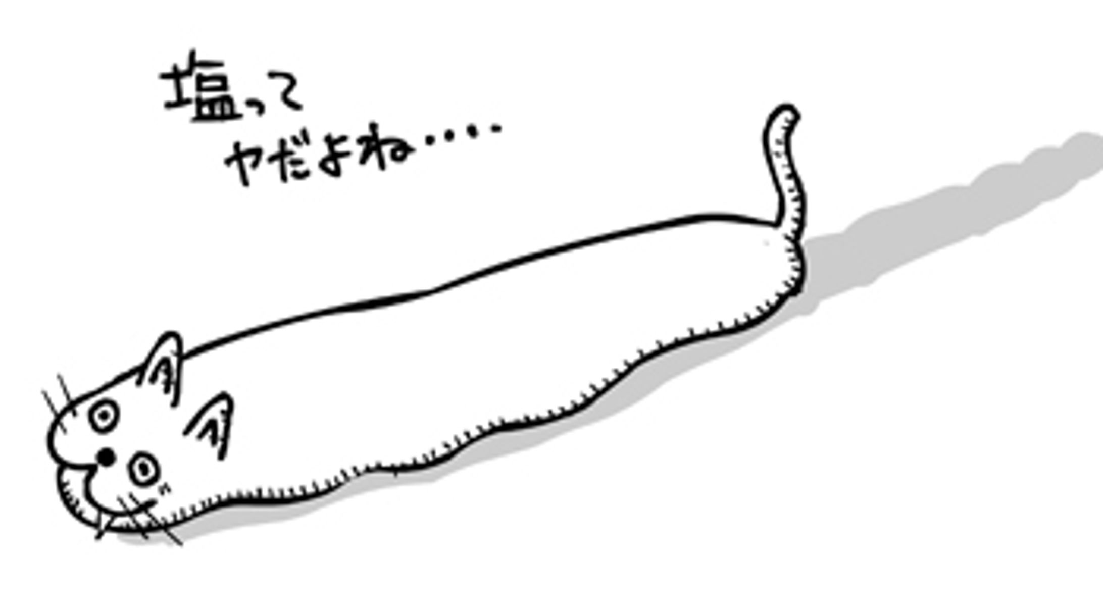 なめねこ-1