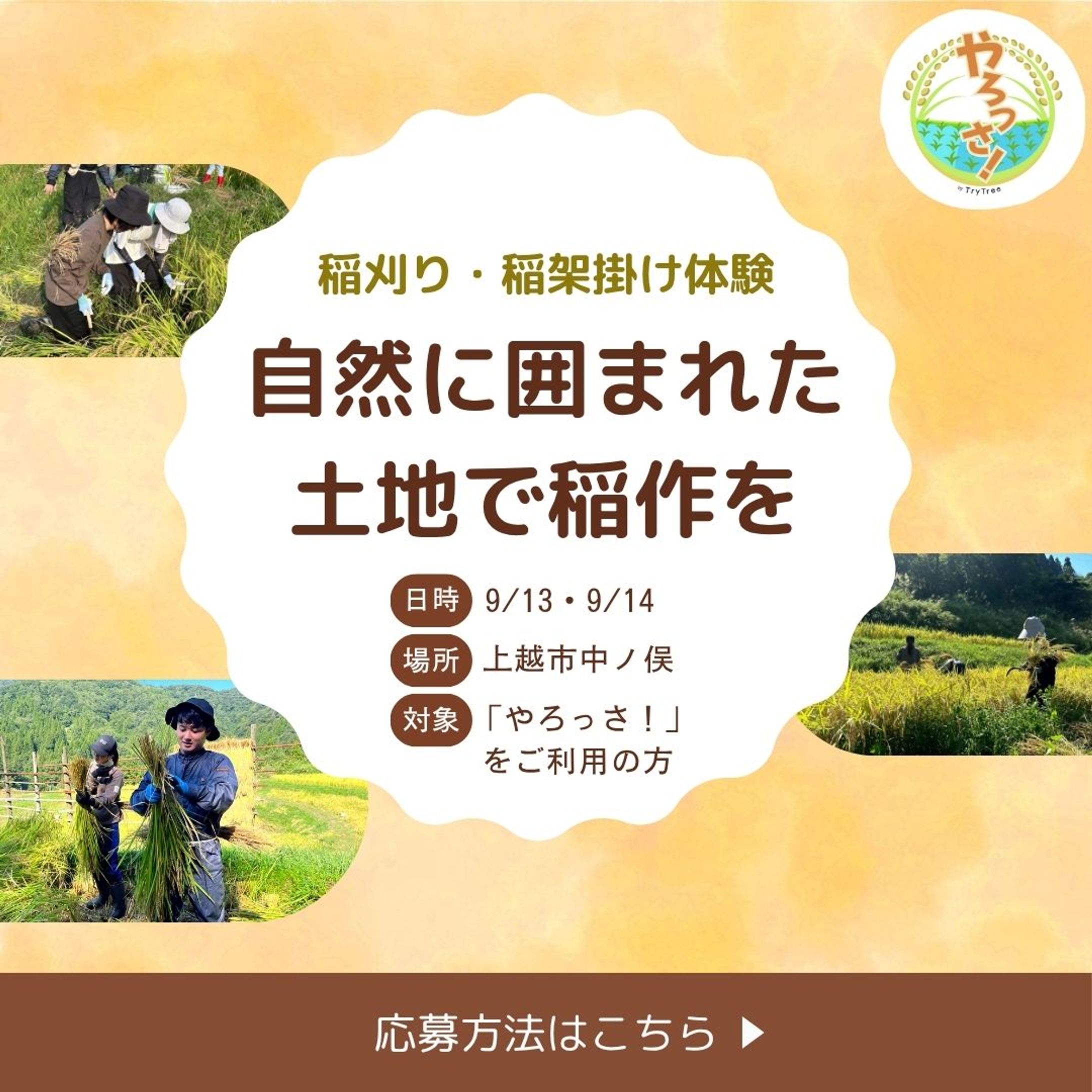 稲作イベント告知バナー-1