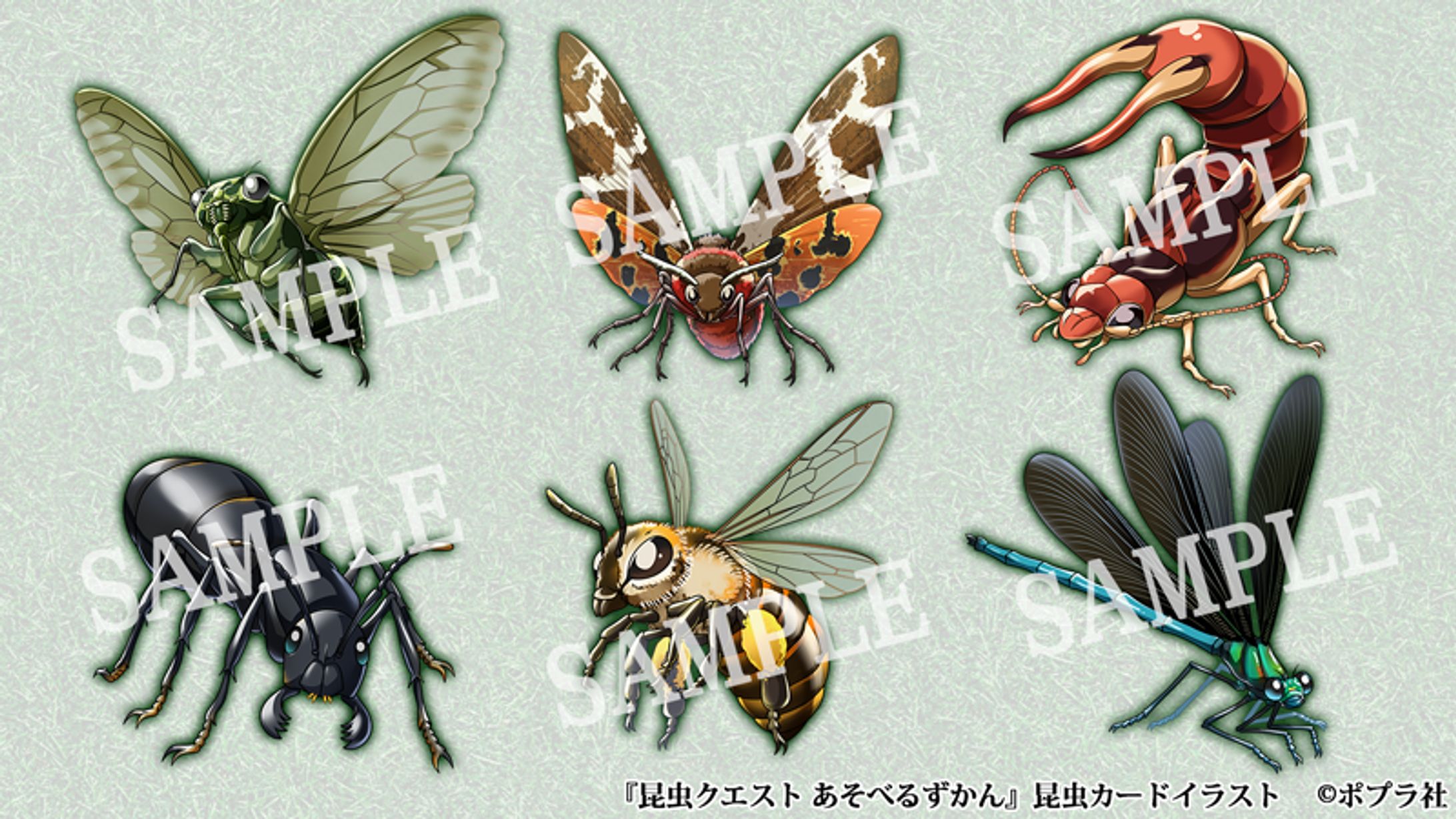 【仕事絵】dキッズ『昆虫クエスト』昆虫イラスト-1