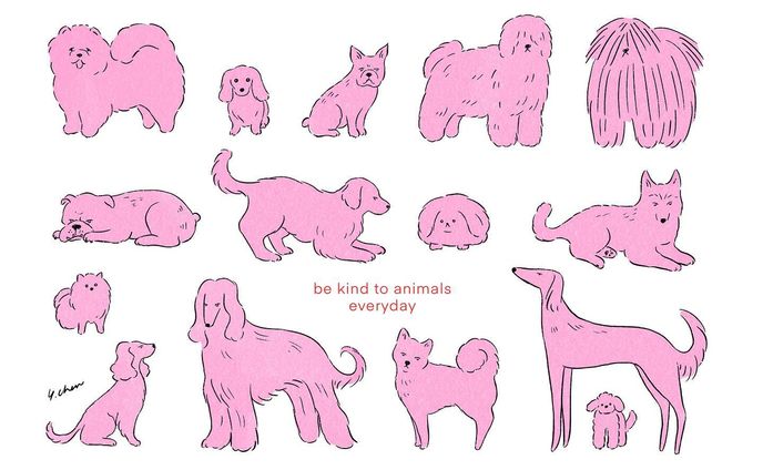 イラスト・デザイン、package