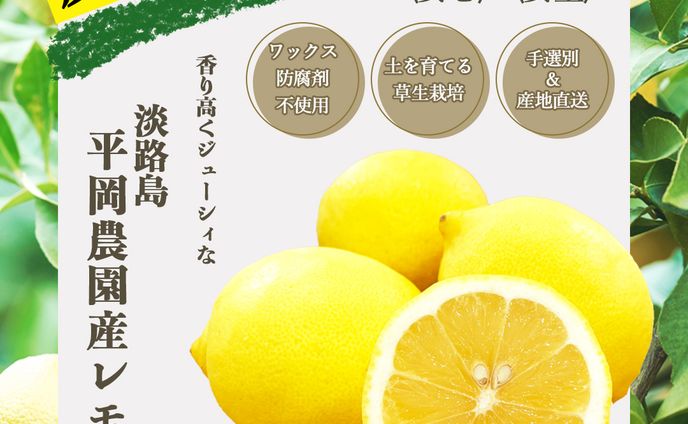 平岡農園レモン
