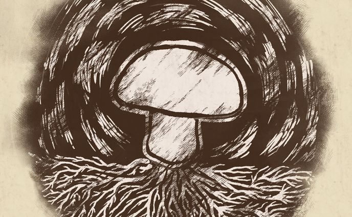 Mycelium