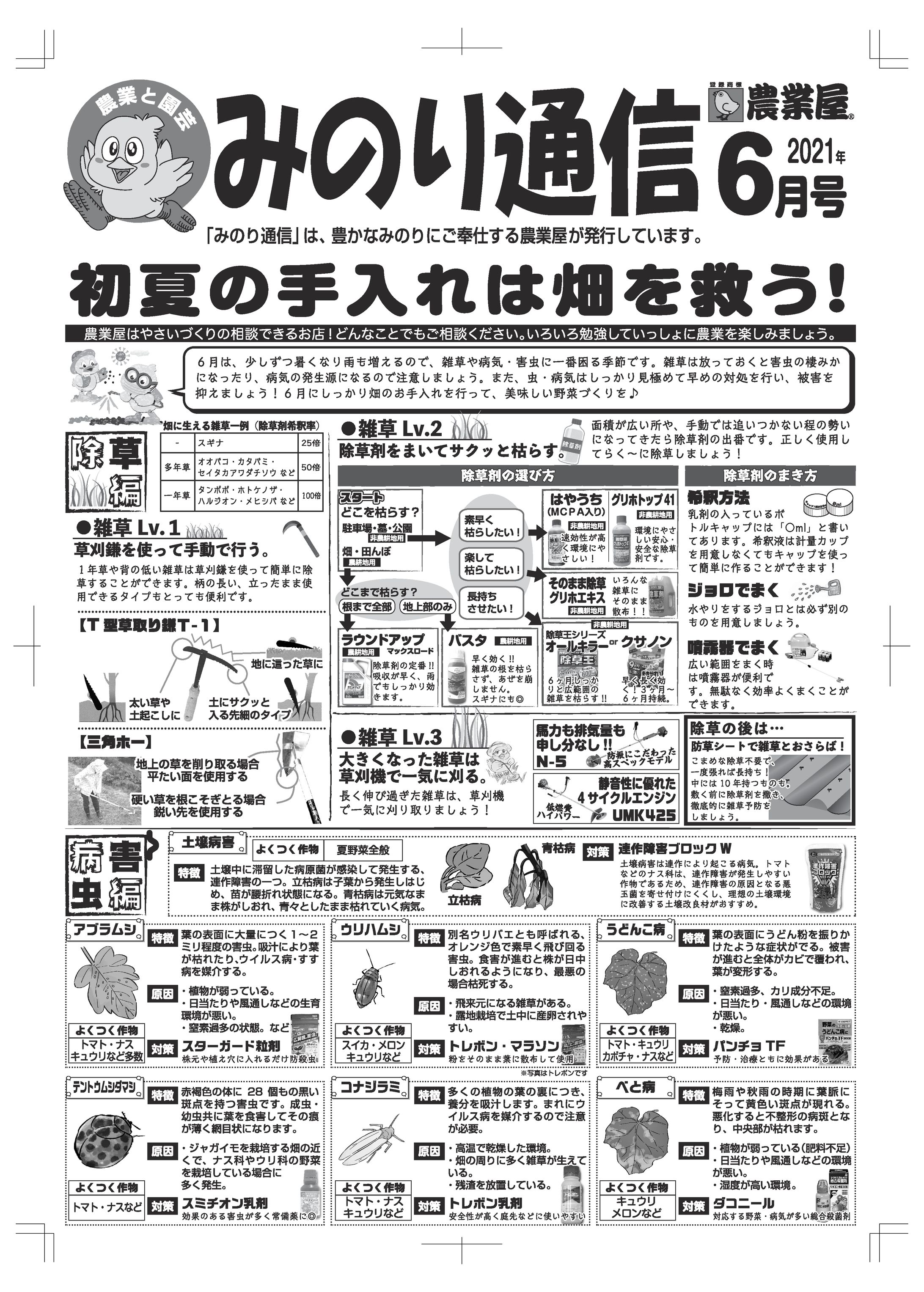 仕事で作成した広報紙-1