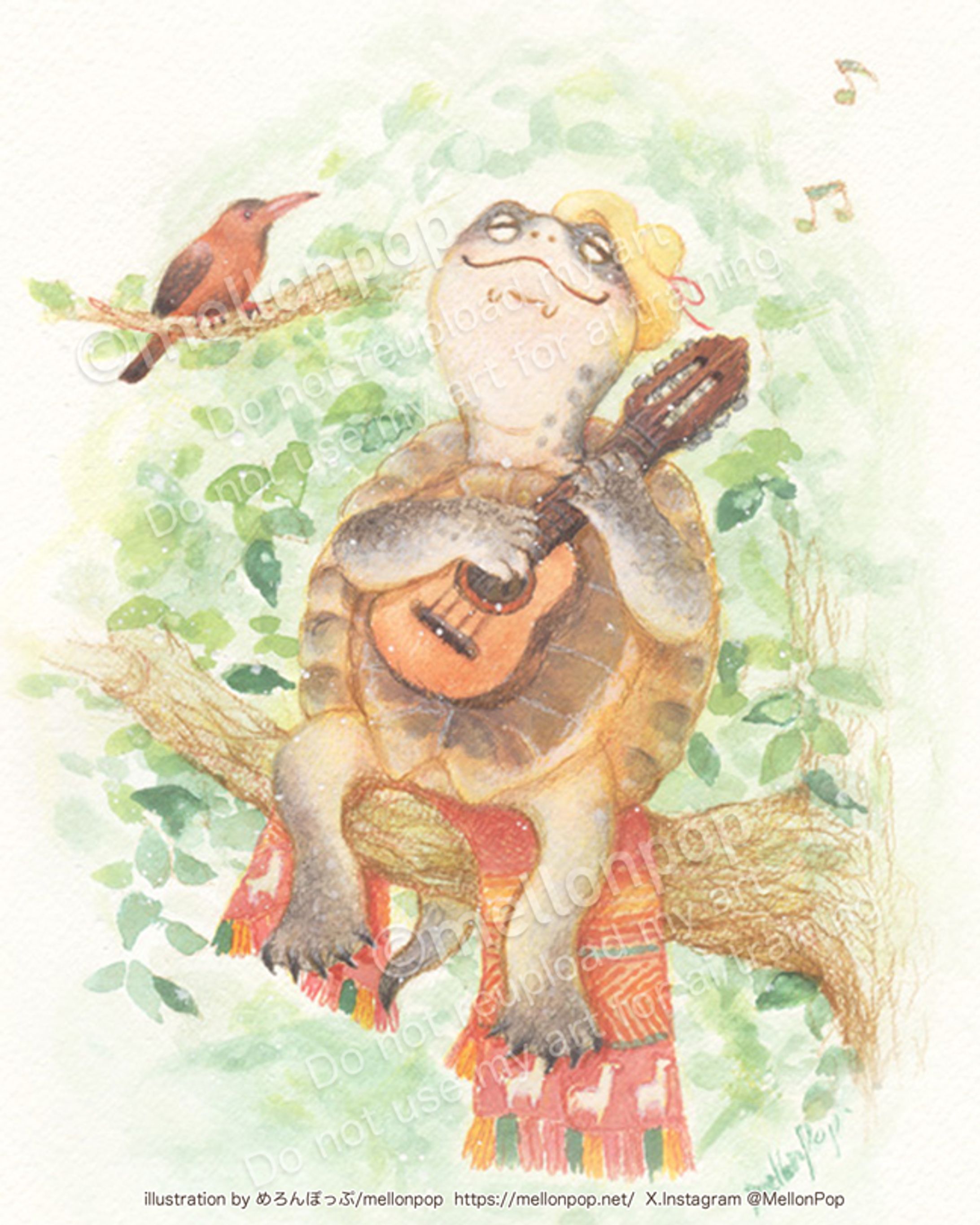 ヒメカエルガメの小さな演奏会-1