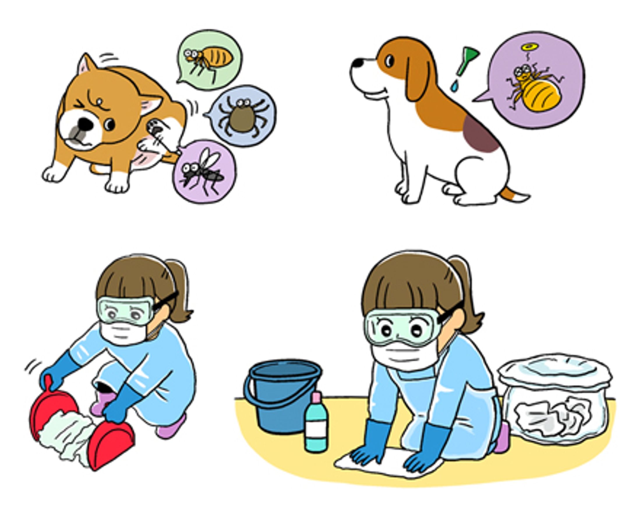 動物看護専門誌as 院内感染症対策-1