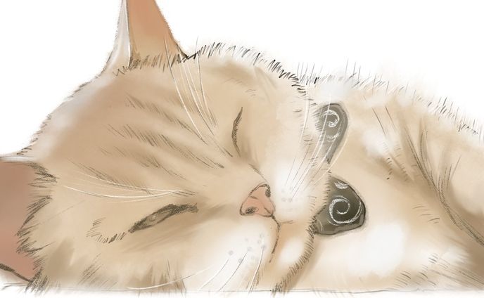 水彩カラー(1h)